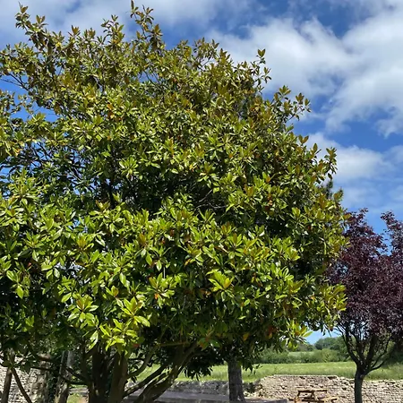 Vakantiehuis Le Domaine De La Gentilhommiere Situee Entre Bayeux Et Arromanches Les Bains *