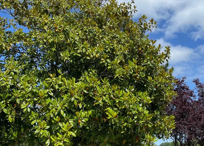 Hébergement de vacances Le Domaine De La Gentilhommière Située Entre Bayeux Et Arromanches Les Bains *